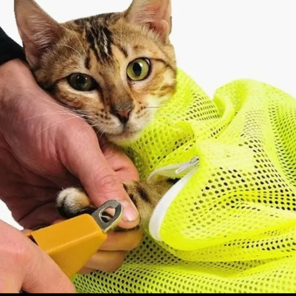 Cat Net for bathing - Picture 3 of 3